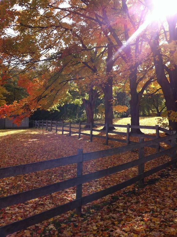 The Maples Bed And Breafast Angus Exterior foto