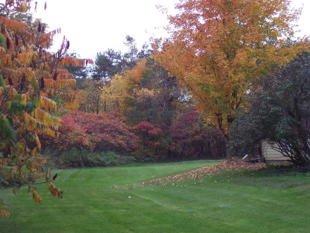The Maples Bed And Breafast Angus Exterior foto